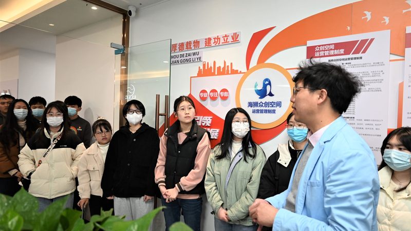 电商代运营成功案例：揭秘平台对比背后的关键要素